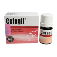 [1+1]세파겔 2병+2병